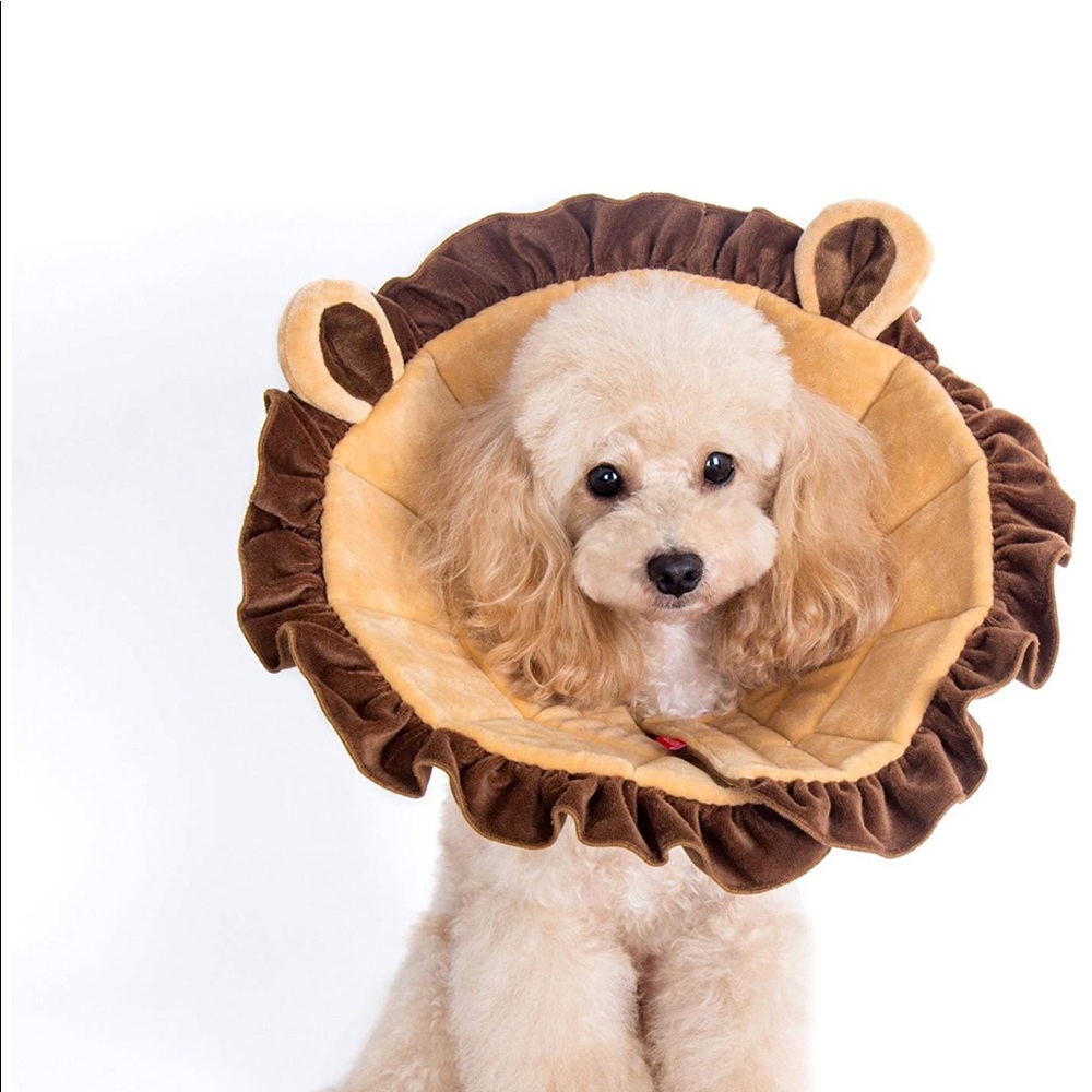Size xs dog e collar